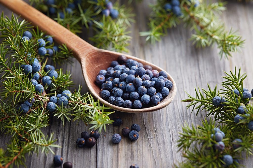 juniper berries